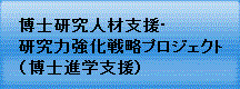 博士研究人材支援・研究力強化戦略プロジェクト